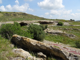 lazzelli-19-04-2018 11-24-03
